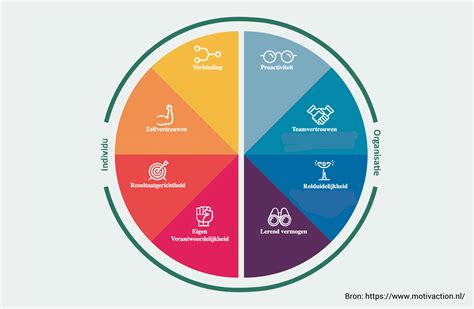 Infographic: factoren nodig voor een succesvolle aanbouw (functie, indeling, lichtinval, looproutes)