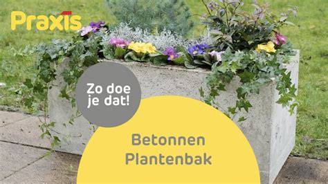 Infographic: stappenplan voor het maken van een betonnen plantenbak
