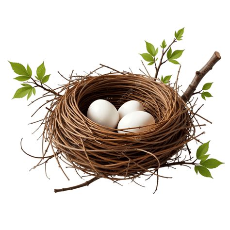 Image: bird-nest_protection.jpg