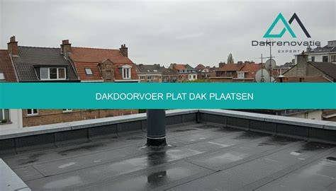 Infographic: Oorzaken lek plat dak en stappenplan