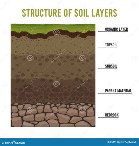 Diagram: drainage en bodemstructuur in Halsteren