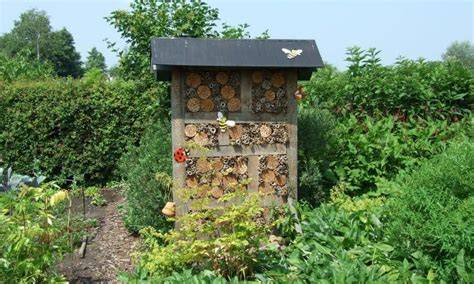 Beeld van een biodiversiteit-tuin met inheemse planten, insectenhotel en wadi
