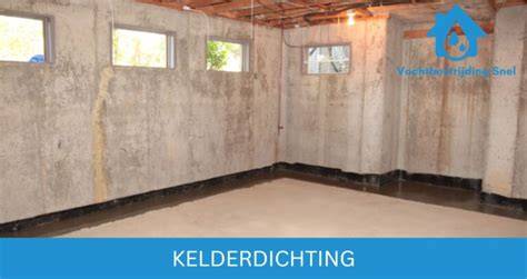 Infographic: Overzicht van kelderdichting methodes en kosten