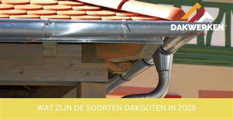 Infographic: Soorten dakgoten en hun eigenschappen