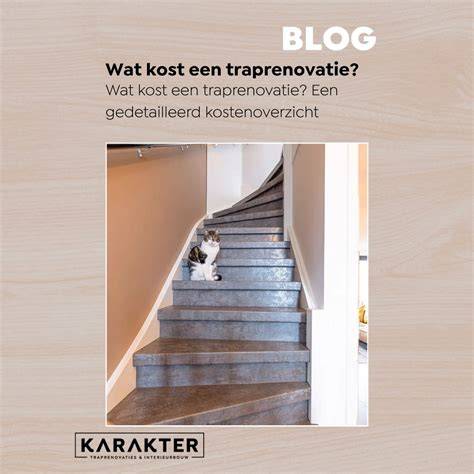 Infographic: Vergelijking kosten en duurzaamheid tussen traprenovatie en volledige vervanging