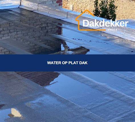 Infographic: Oorzaken van schimmel onder plat dak en preventie