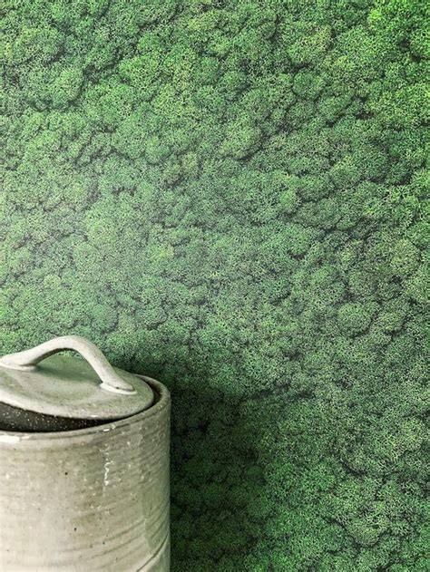 groen vliesbehang in woonkamer met planten
