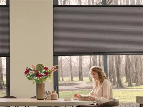 Infographic: Belangrijke voordelen van badkamer rolgordijnen