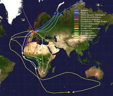 Infographic: Overzicht van trekroutes voor coax en UTP-kabels