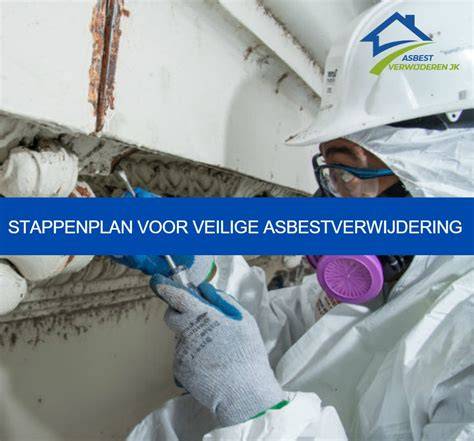 Infographic: Stappenplan asbestverwijdering en regelgeving in Nederland