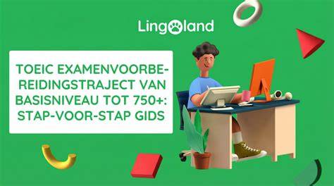 Stapsgewijze infographic: van voorbereiding tot afwerking