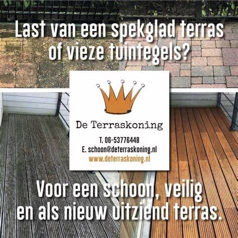 Logo De Terraskoning