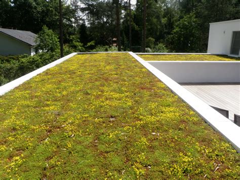 Voorbeeld van een groendak op een plat dak met diverse planten