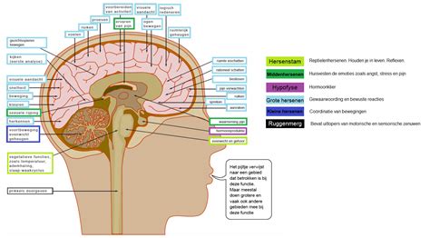 Diagram van ondervloer types en hun functies