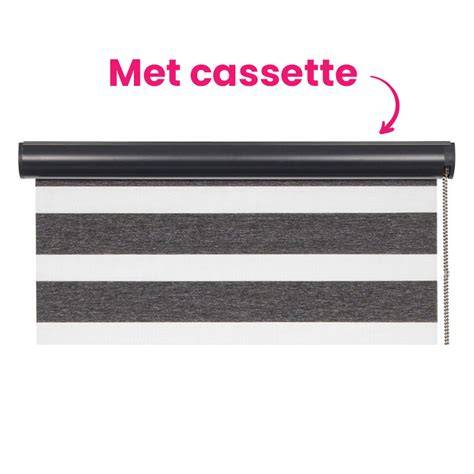 Infographic: Schematische weergave van Luxtra rolgordijn met aluminium cassette en zijgeleiders