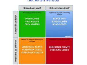 Diagram: Voorbeelden van vlekken en passende behandelingen