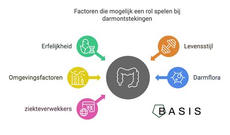 Infographic: Overzicht van factoren die dakbelastingen bepalen (permanente vs veranderlijke belastingen, normen en stappen).