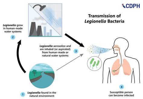 Diagram: Duurzame energiesystemen en legionella preventie