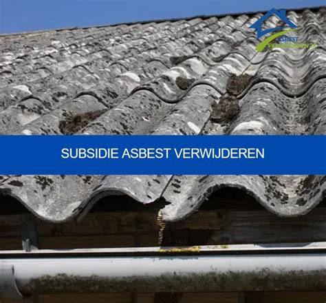 Infographic: veiligheid bij asbest en bomenkap