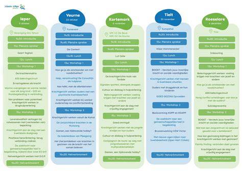 Infographic: Drie pijlers van laminaatonderhoud (Reinigingsmiddelen, Stofzuigen, Viltjes)