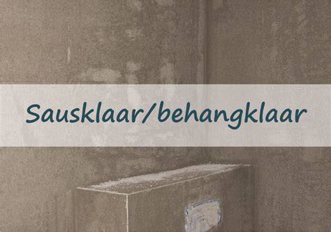 Infographic: Verschillen behangklaar vs sausklaar, stappenplan van voorbereiding tot schilderen