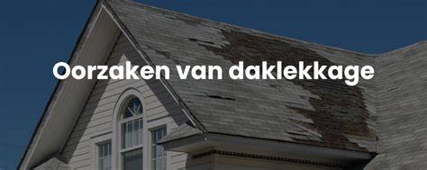 Infographic: Oorzaken en stappen bij daklekkage