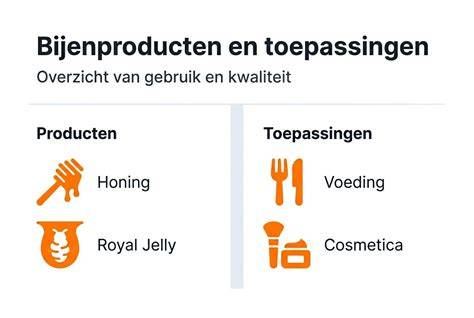 Infographic: Overzicht van 5in1 producten en toepassingen