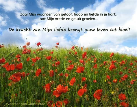 Cartouches met de woorden ‘kracht’ en ‘geloof’