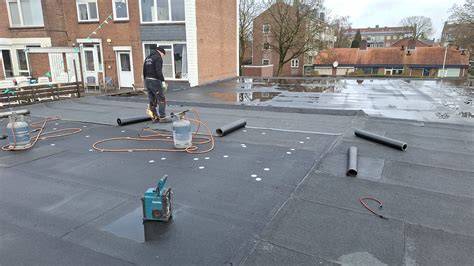 Illustratie: Voor- en nadelen van EPDM, bitumen, PVC en groendaken op platte daken