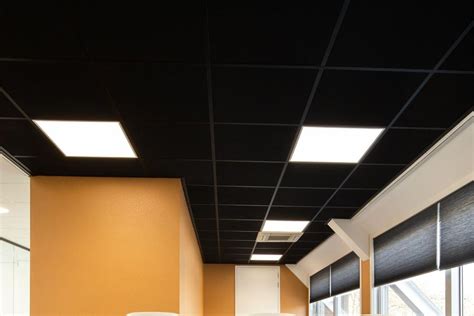 Rockfon Black plafondplaten infographic