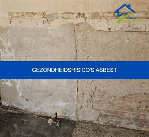 Infographic: typen asbest en gezondheidsrisico's