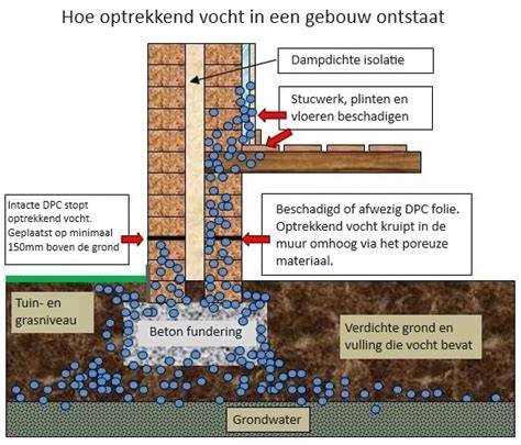 Infographic: Hoe optrekkend vocht zich verspreidt vanuit de fundering naar boven