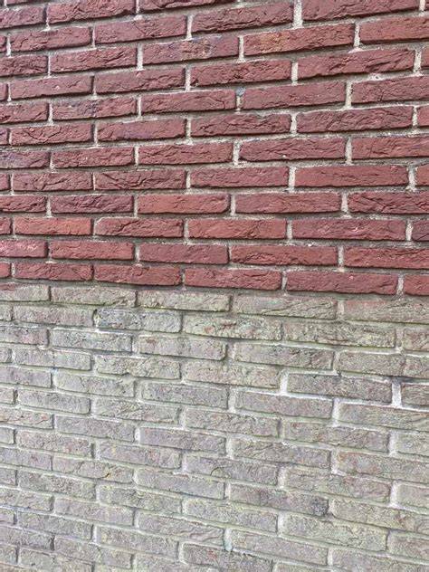 Infographic: Oorzaken en oplossingen voor witte uitslag op buitenmuur