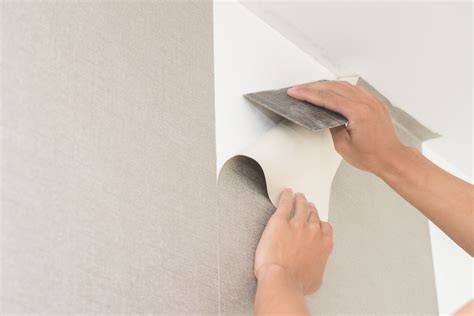Infographic: Voordelen van vliesbehang en tips voor installatie