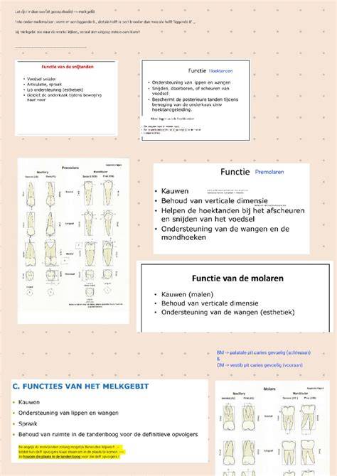 Infographic: Overzicht van coatingsadditieven en hun functies
