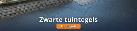 Infographic: Zoekvolumes tuintegels