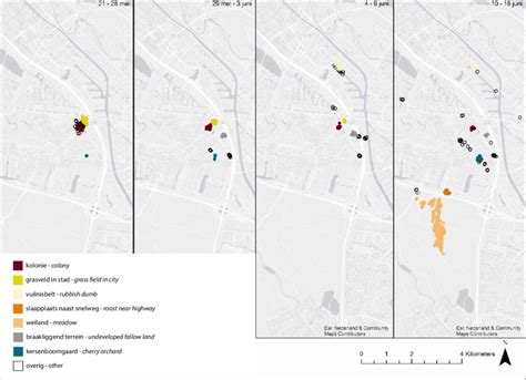 Overzichtskaart: microcementtoepassingen per ruimte