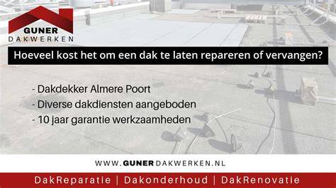 Infographic: Overzicht van dakdiensten en responstijden