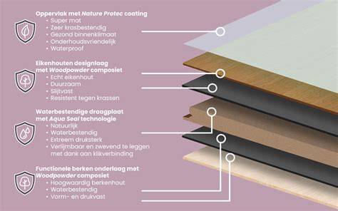 Infographic: Kiezen, leggen en onderhouden van houten vloeren in Ridderkerk
