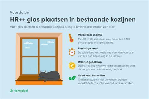 Infographic: Stappenplan glas plaatsen in kunststof/geen kozijn