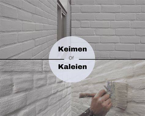 Infographic overzicht van gevelrenovatie opties: reiniging, schilderen, kaleien, bekleding, isolatie
