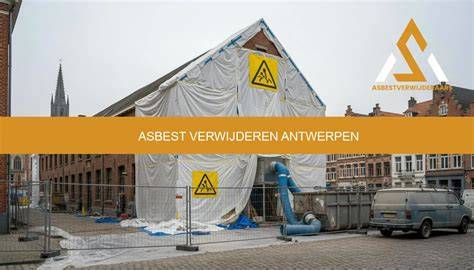 Infographic: Overzicht van asbesttoepassingen en veilig verwijderen in Haarlemmermeer