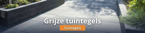 Infographic overzicht: soorten tuintegels en prijzen per m2