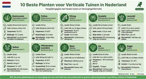 Overzicht: 100 beste planten voor koelte
