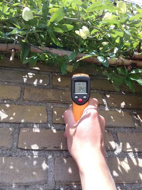 Temperatuurmeting kale vs bedekte muur