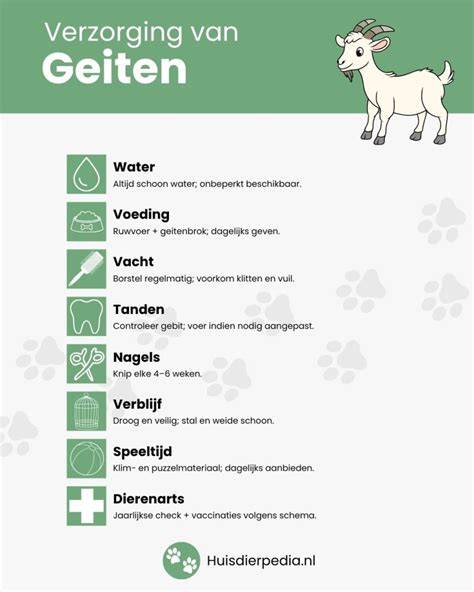 Schema: juiste verzorging en ontkalking van stoombaden