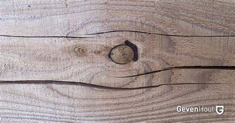 gedetailleerde scheur in hout en blaasvorming