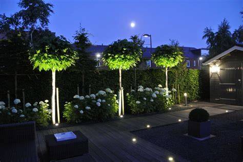 Infographic: tuinverlichting en accessoires