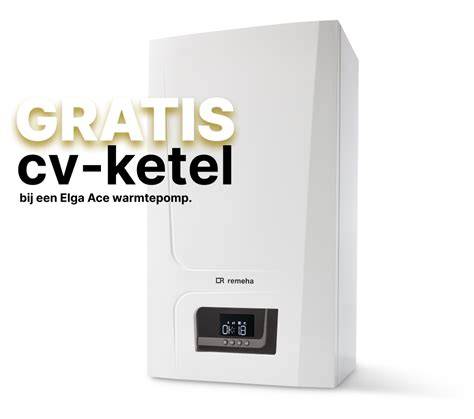 Infographic: Lekkagesituaties bij cv-ketel en passende acties