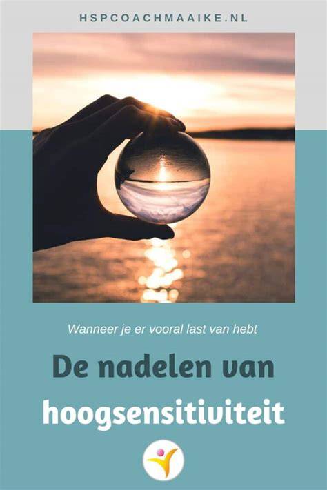 Diagram: Voor- en nadelen van stenen met lage wateropname versus hoge wateropname
